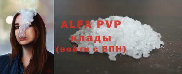 spice Богородск