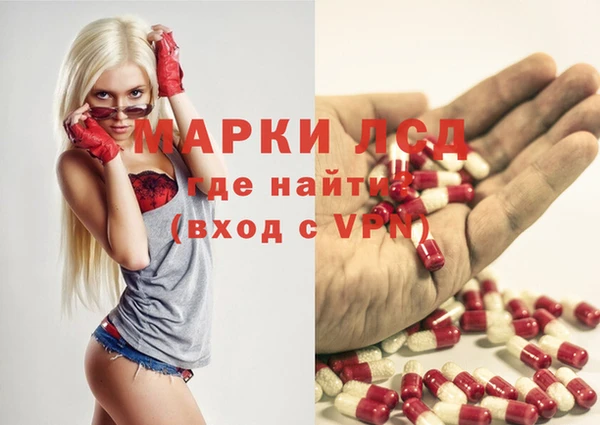 spice Богородск
