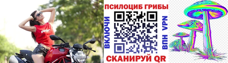 где купить наркоту Белая Калитва Псилоцибиновые грибы Magic Shrooms